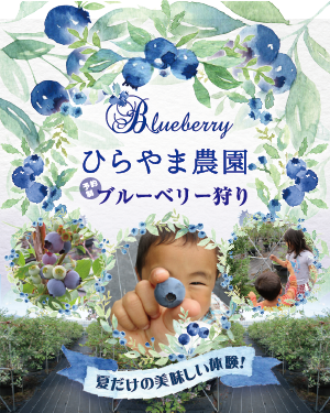ブルーベリーSINCE2005