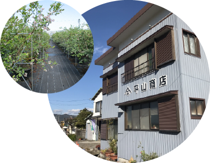 平山商店